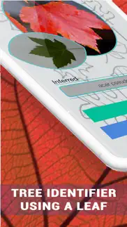 tree identification -treeid ai iphone screenshot 1