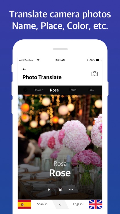 Voice & Camera Translate