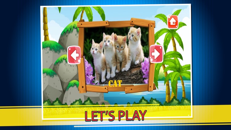 Animals World Puzzle Game