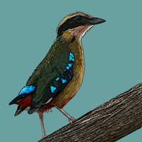 Birds of Zambia logo