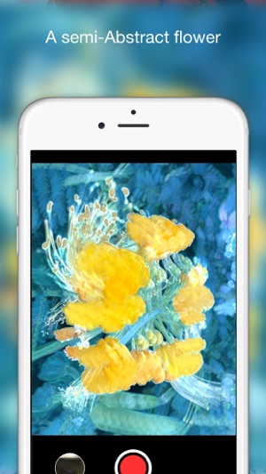 AbstractoCam(圖1)-速報App