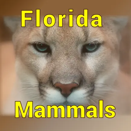 Florida Mammals Cheats