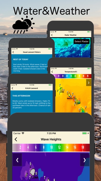 Hawaii Surf Reports