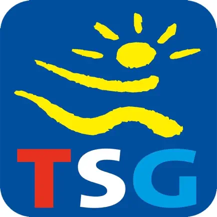 TSG Heilbronn Читы