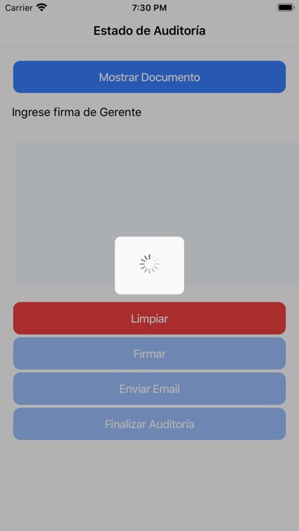 Auditores Application screenshot-6