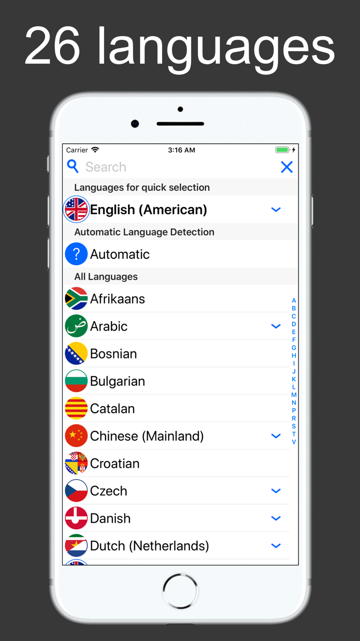 Translate Voice & Dictionary screenshot 4