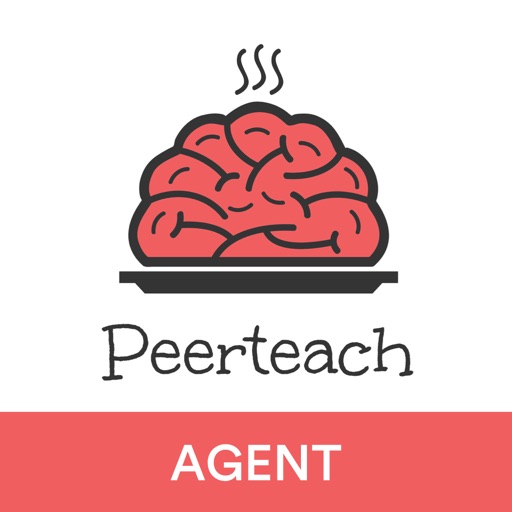Peer Teach Agent