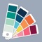 What is your best color
