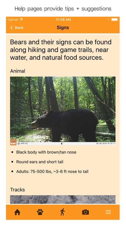 iSeeMammals screenshot-4