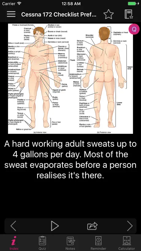 Amazing Human Body Facts, Quiz
