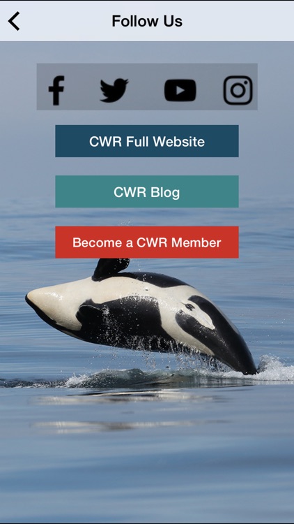 Center for Whale Research screenshot-4