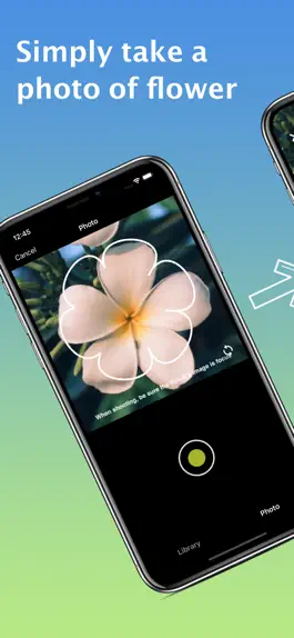 Game screenshot What Flower - Plant Identifier mod apk