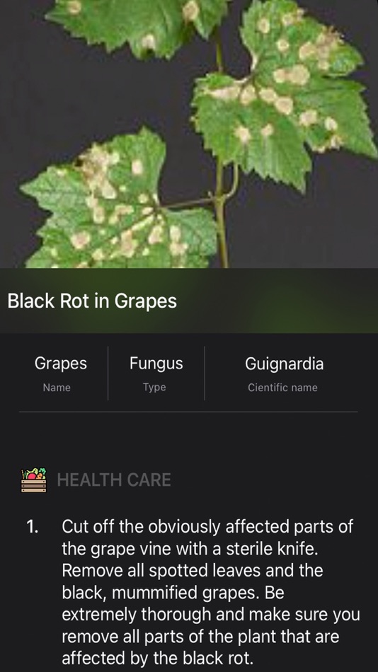 #9. Plants Diseases Identifier (iOS) 由: Jose Bello