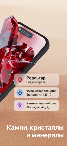 Game screenshot Rock Identifier: Рок и камень apk