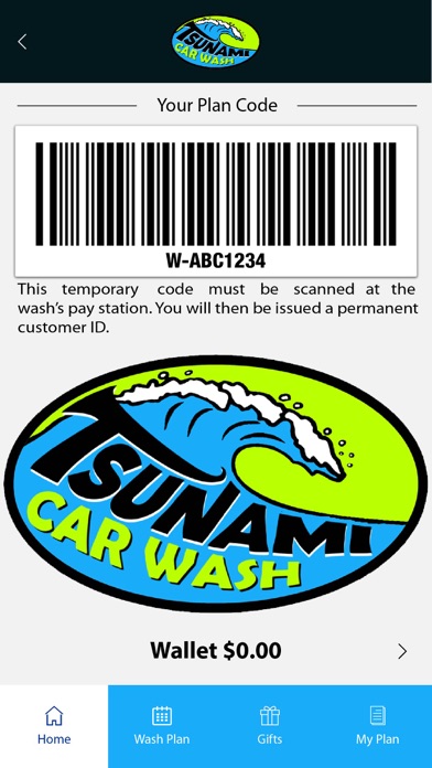 Tsunami Car Wash Screenshot