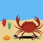 Crab - Survival on the beach