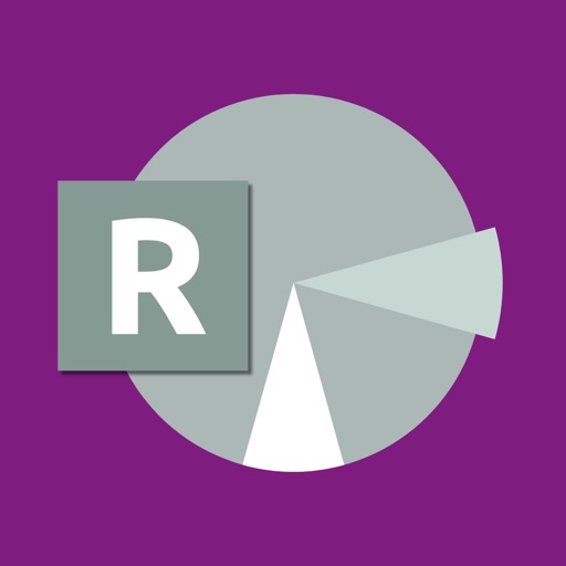 RiskReporter icon