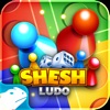 SheshLudo 2021 best board game icon
