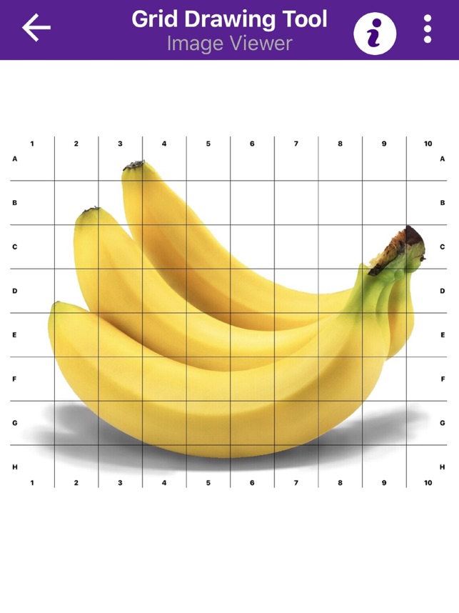 Grid Drawing Tool for Artists dans l'App Store