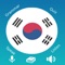 Icon Learn Korean - Grammar