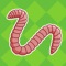Earthworm 3D