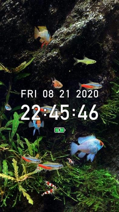 Tropical Fish Tank - Mini Aqua Screenshot