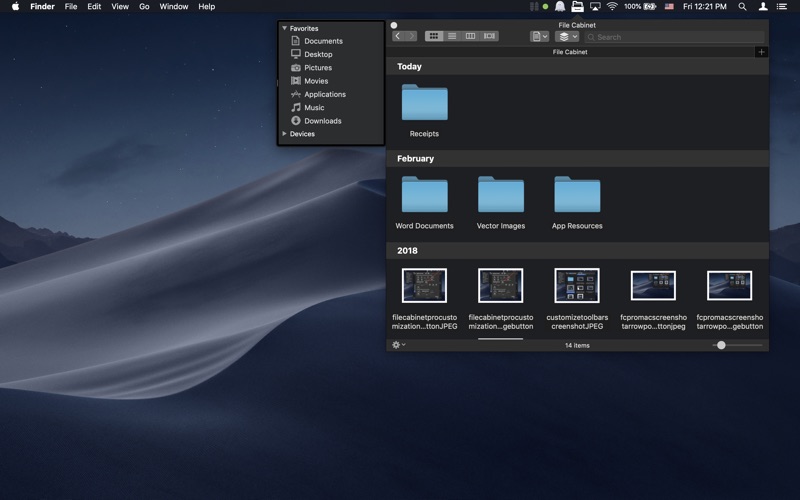 File Cabinet Pro