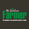 Zambian Farmer