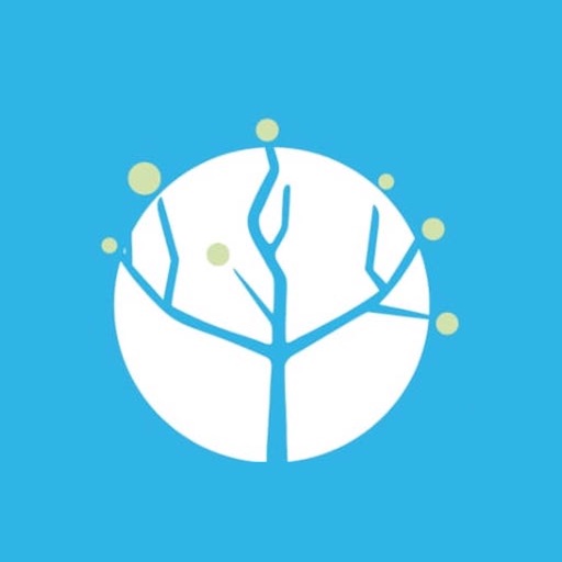 Diário Bordo - Catequese MMP