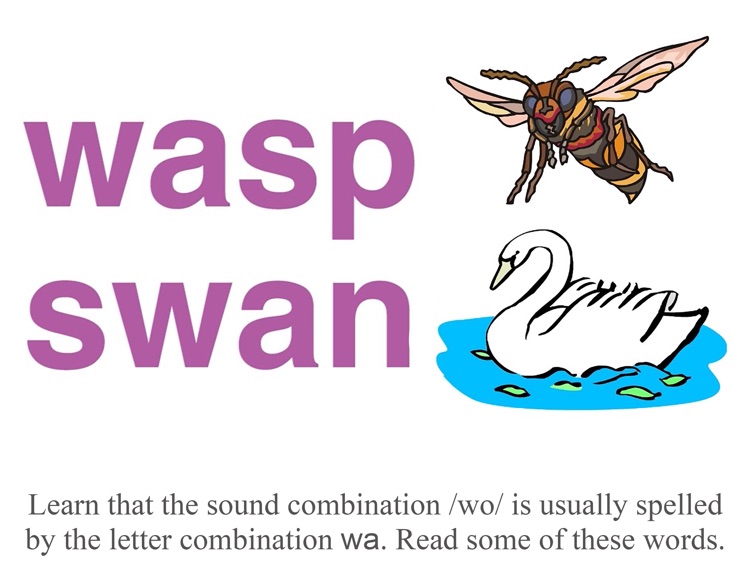 Sounds Have Letter Teams 7 screenshot-8