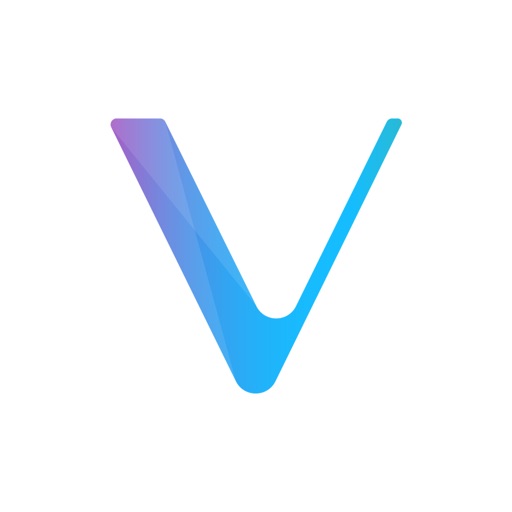 VeChain Pro Download