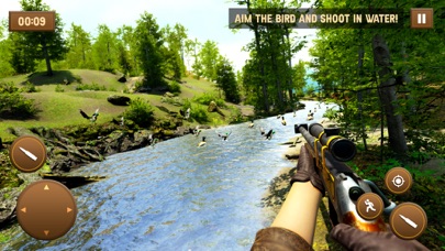Classic Bird Hunt 2021 Screenshot
