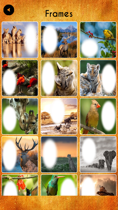 International Tiger Day Frames screenshot 2