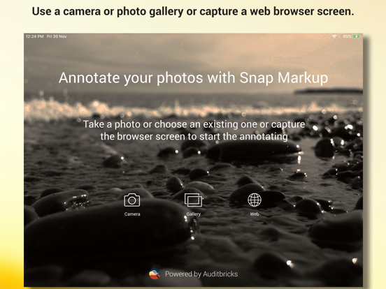 Snap Markup - Annotation Tool iPad app afbeelding 9