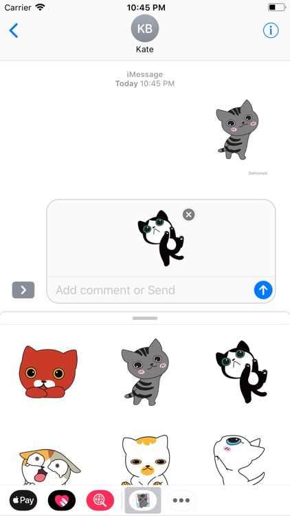 Funny Cat Cute Stickers