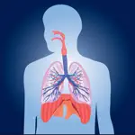 Respiratory System Quizzes App Problems