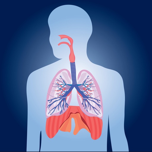 Respiratory System Quizzes icon