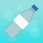 Water Bottle Flip Challenge 2 app download