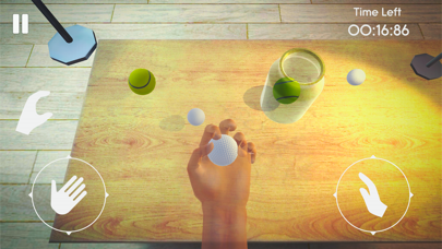 Hand Simulator Screenshot