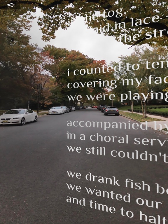 Screenshot #4 pour AR Poetry & Art