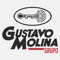 En el App del Grupo Gustavo Molina encontrará una gran variedad de autos nuevos y usados de las principales marcas