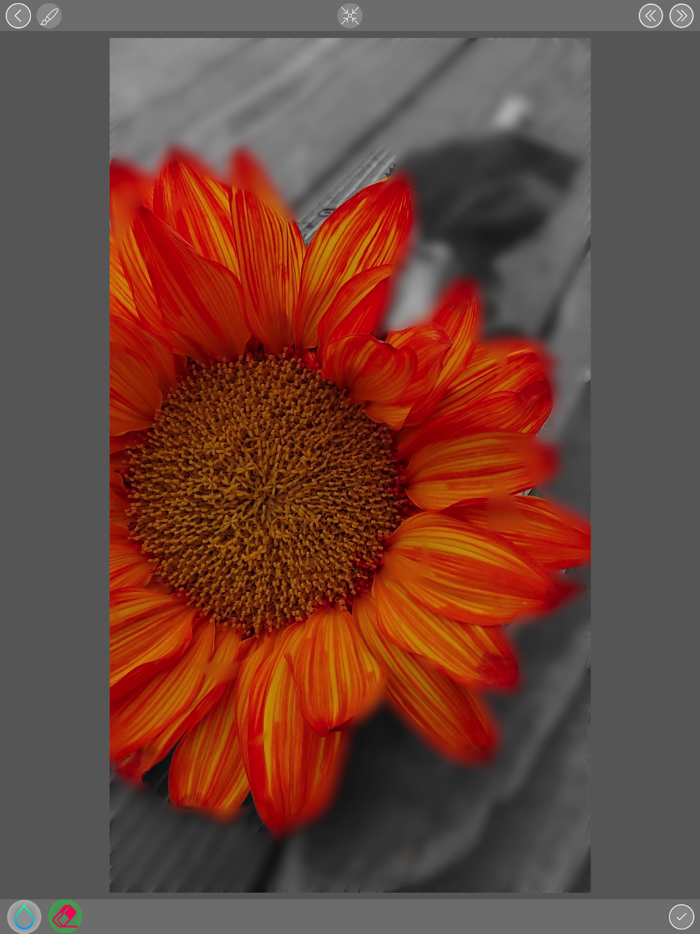 DSLR Effect Blur background