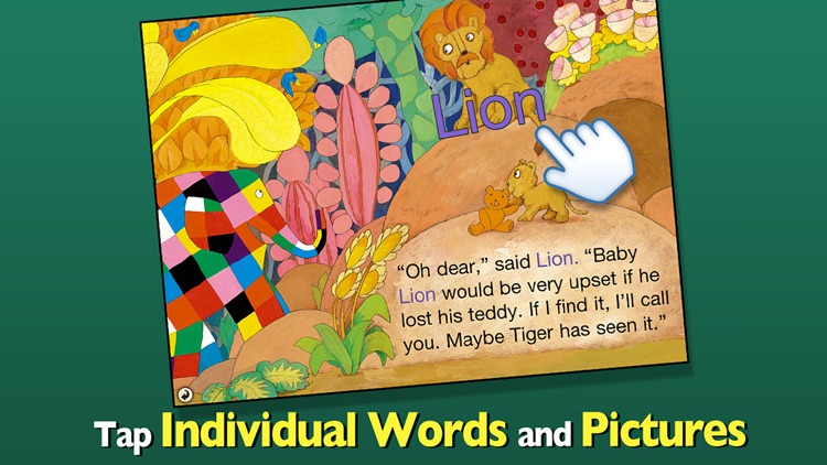 Elmer and the Lost Teddy