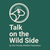 Icon Talk on the Wild Side