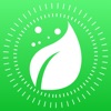 Plant Finder Tree identifer icon