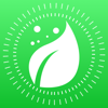 Weed identifier leaf snap - Lan Duyen Vu