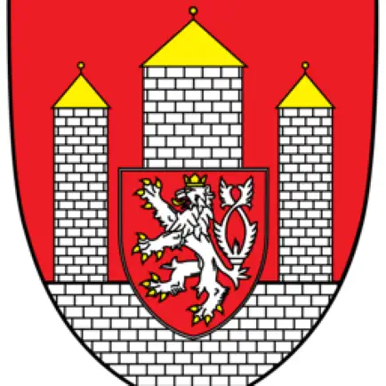 Budweis Guide for Expats Cheats