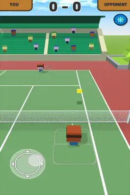 Game screenshot The Crazy Tennis hack