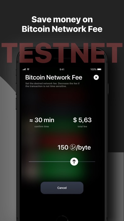 Billion Wallet TESTNET screenshot-4