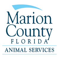 MCAS Agent Dashboard